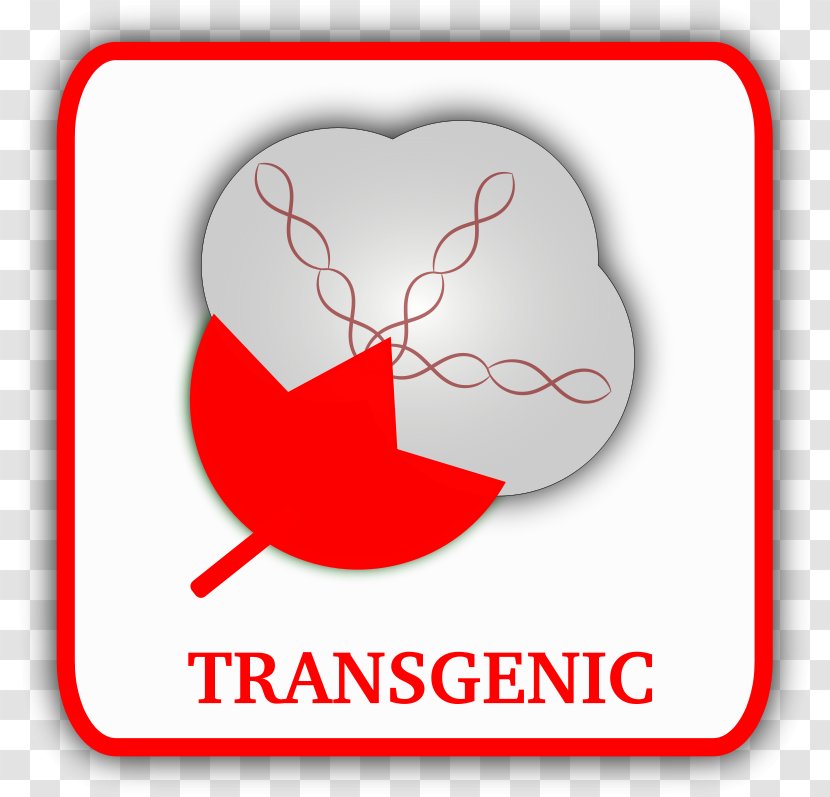 Transgene Genetically Modified Organism Cotton Clip Art - Tree - Flower Transparent PNG