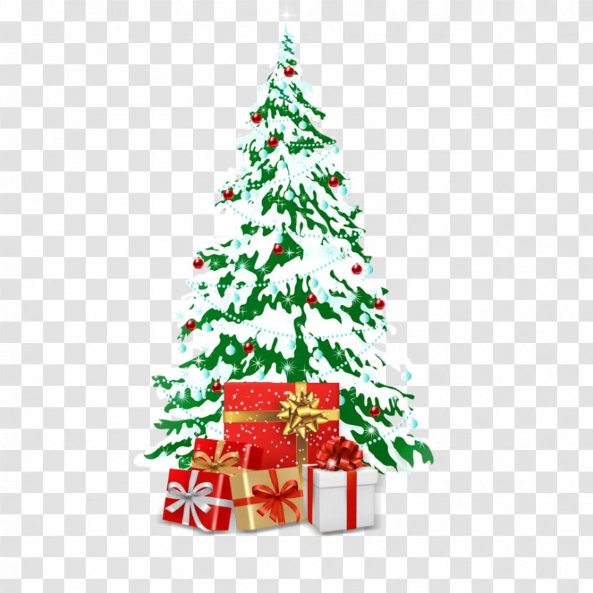 Snowman Christmas - Pine - Tree Transparent PNG