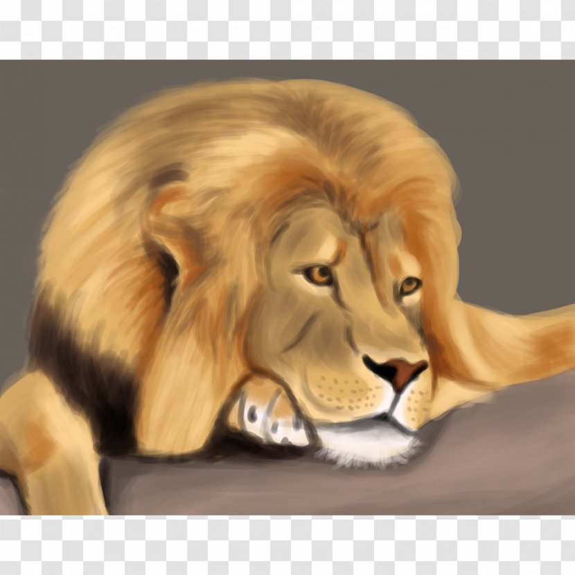 Digital Painting Illustration Cat Whiskers - Snout - Lion Running Transparent PNG