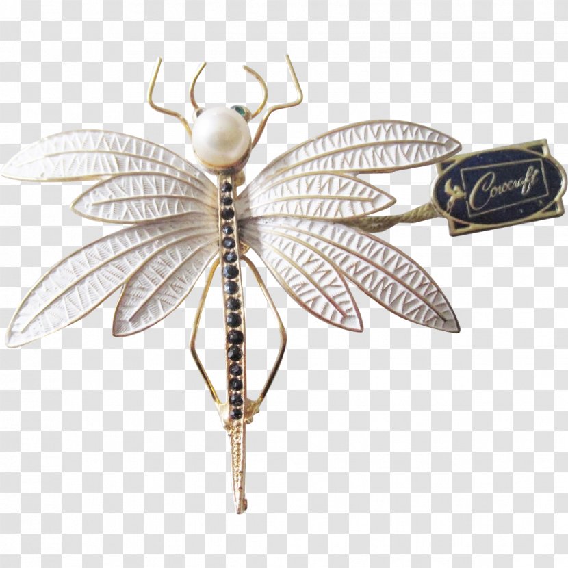 Insect Jewellery Butterfly Clothing Accessories Pollinator - Dragonfly Transparent PNG