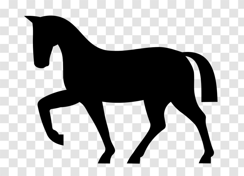 Horse Colt Foal Clip Art - Stallion Transparent PNG