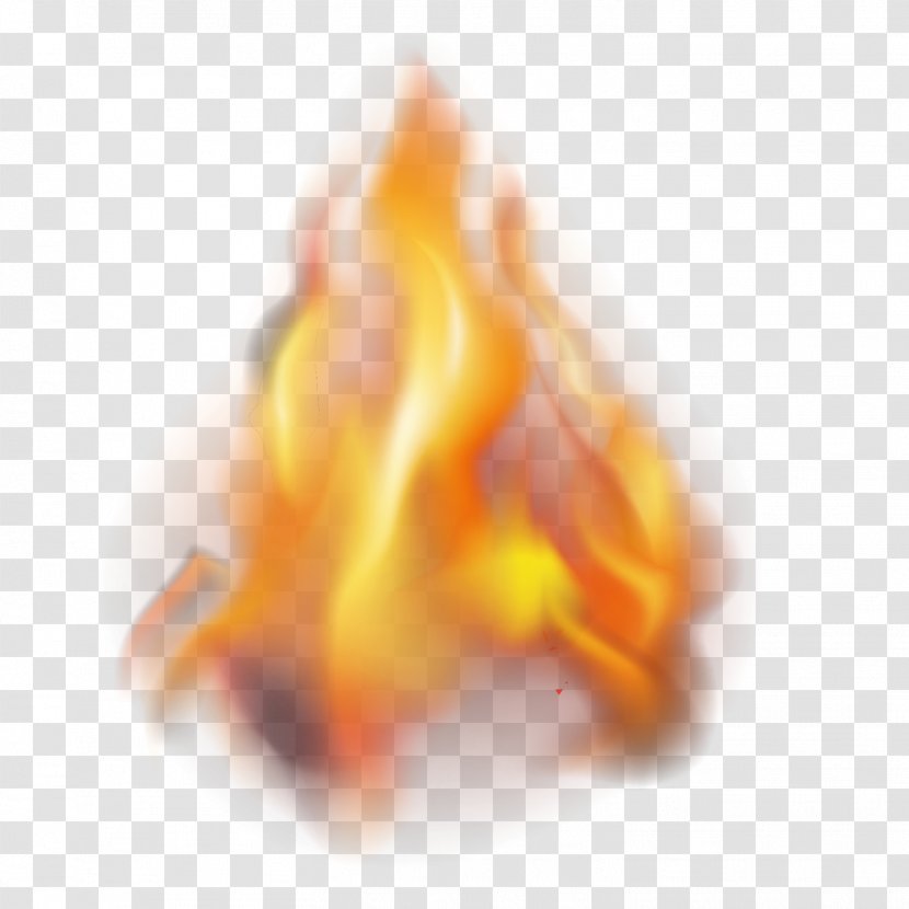 Flame Euclidean Vector - Close Up - Red Flames Transparent PNG