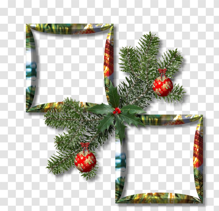 Gingerbread House Picture Frames Christmas Photography - Tree - 15 Transparent PNG