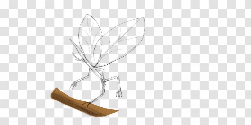 Paper Drawing Butterfly /m/02csf - Line Art - Fairy Forest Transparent PNG
