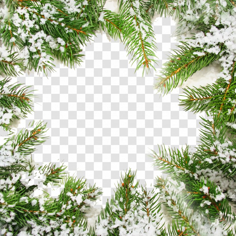 Christmas Frame Border Decor - Branch - Woody Plant Evergreen Transparent PNG