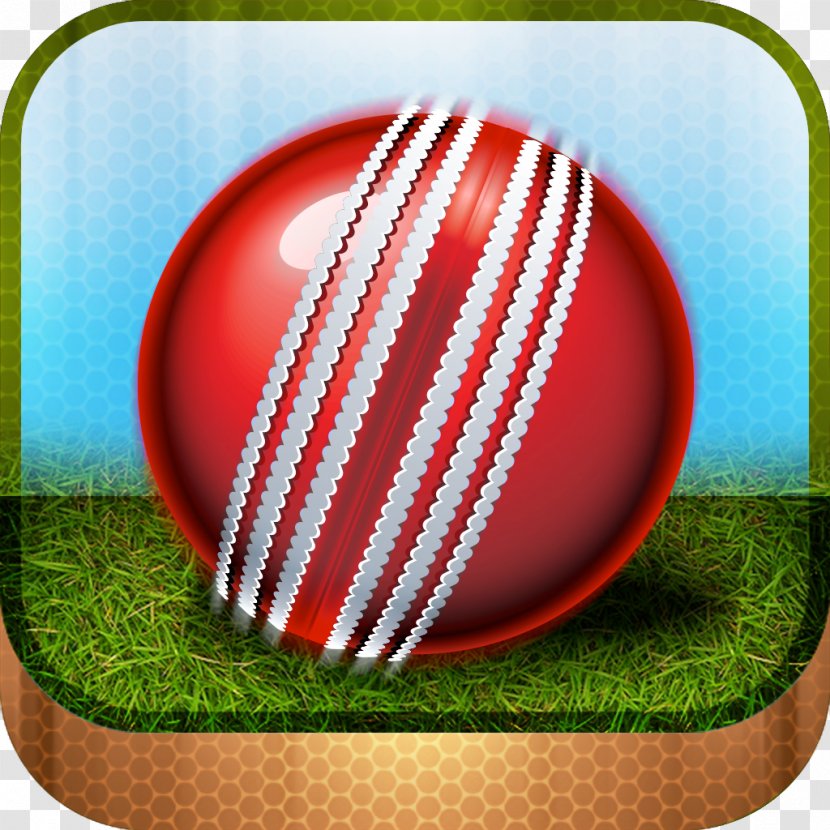 Cricket Bats Ball - Academy Banner Transparent PNG