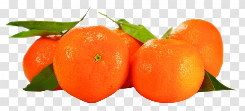 Orange Tangerine Fruit - Mandarin Transparent PNG