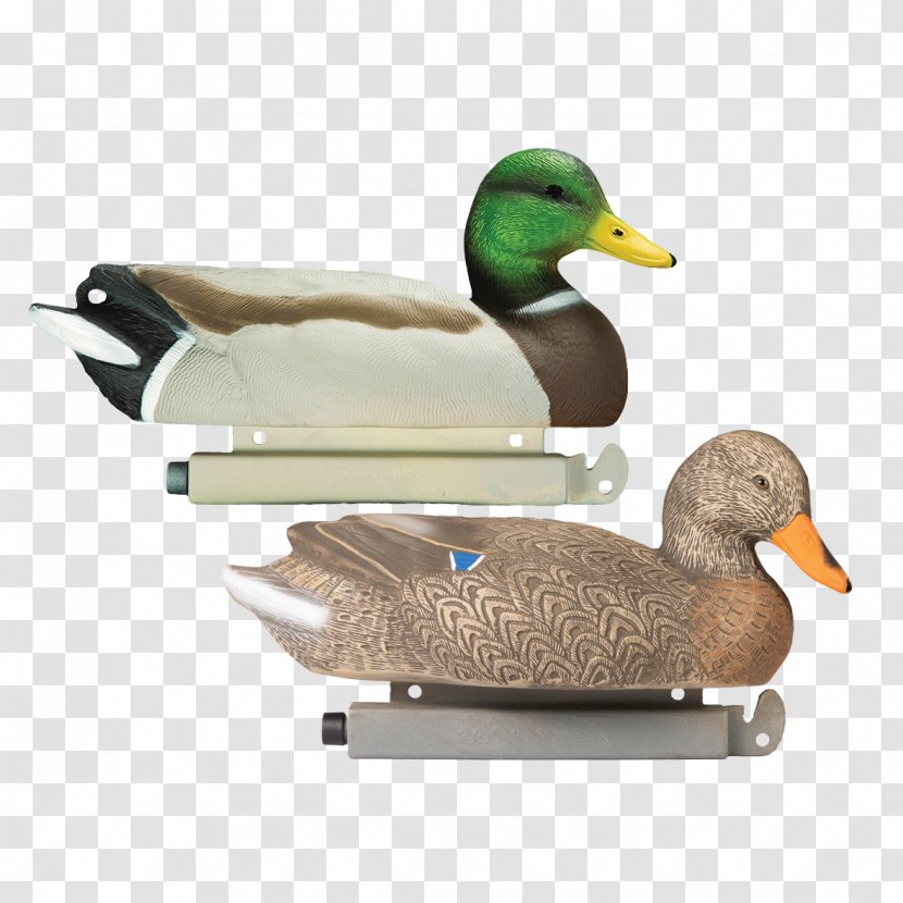 Mallard Duck Decoy Anseriformes - Email Transparent PNG