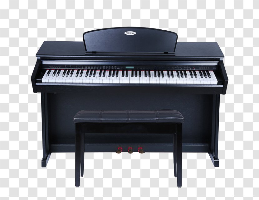 Digital Piano Keyboard Musical Instrument Electric - Input Device - Electronic Teaching Transparent PNG