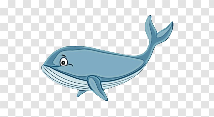 Common Bottlenose Dolphin Marine Biology Fauna Product Design Transparent PNG