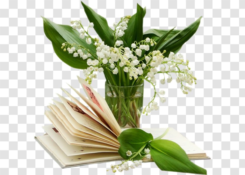 Lily Of The Valley 1 May Marriage Month - Flower Arranging Transparent PNG