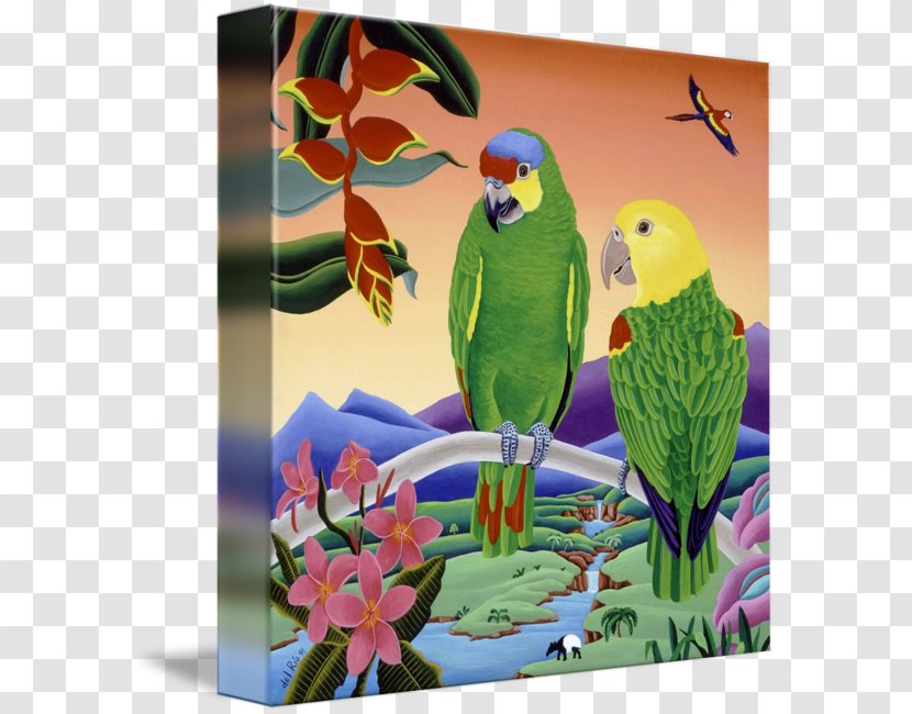 Lovebird Macaw Painting Amazon Parrot - Organism Transparent PNG
