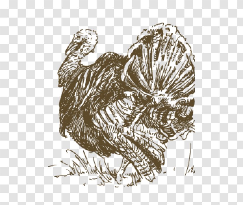 Drawing - Tree - Certified Turkey Transparent PNG