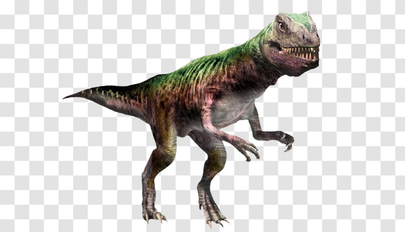 Gasosaurus Coelophysis Carcharodontosaurus Theropods Dinosaur - Carnivore Transparent PNG