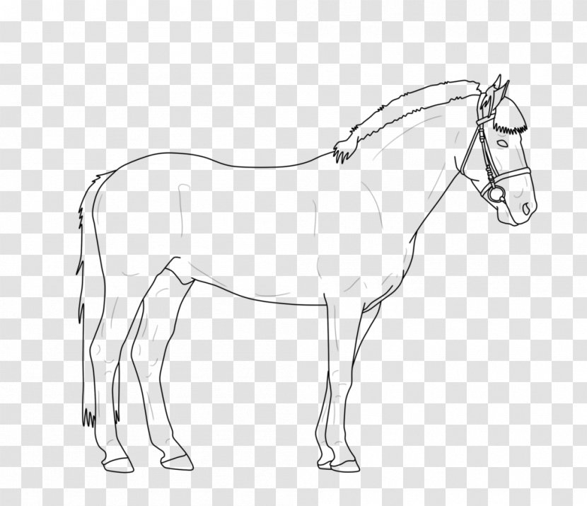 North American Sportpony Line Art Mule Connemara Pony - Neck - Scenery Drawing Transparent PNG