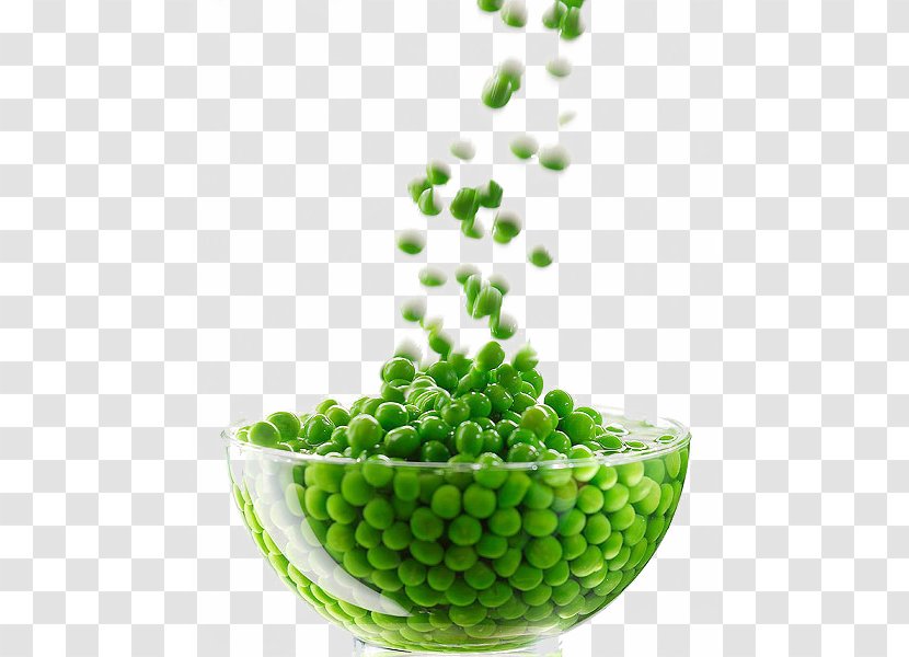 Vegetable Green Bean - Bowl Of Peas Pictures Transparent PNG