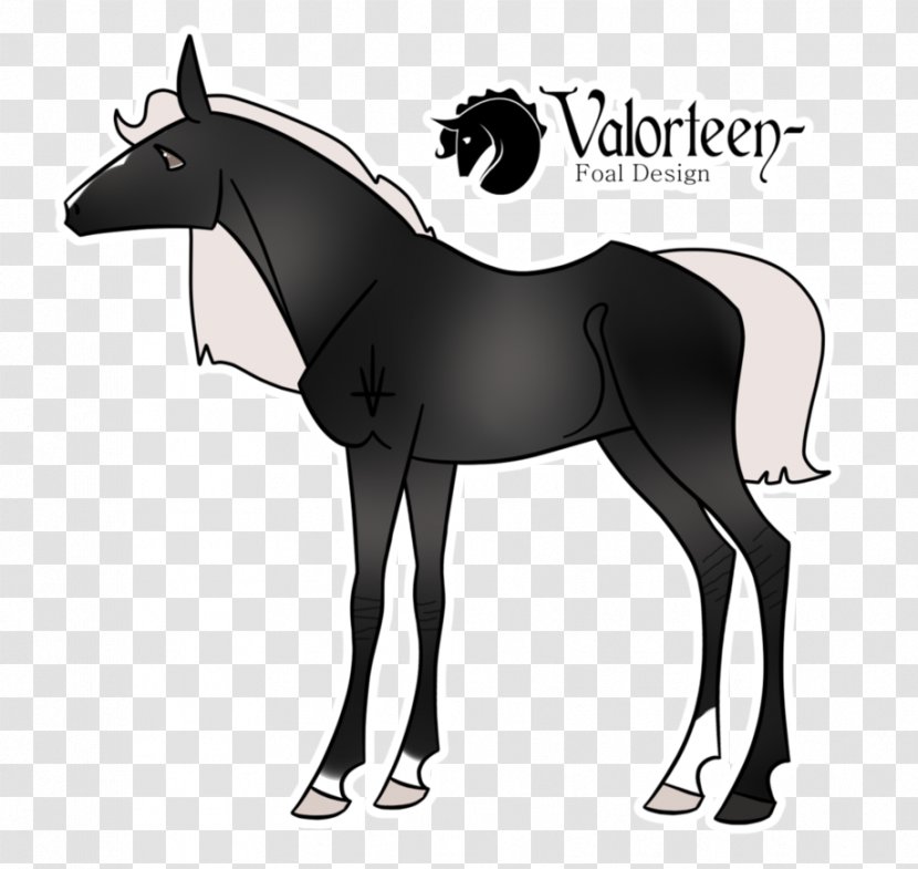 Mule Mustang Pony Colt Stallion - Horse Tack Transparent PNG