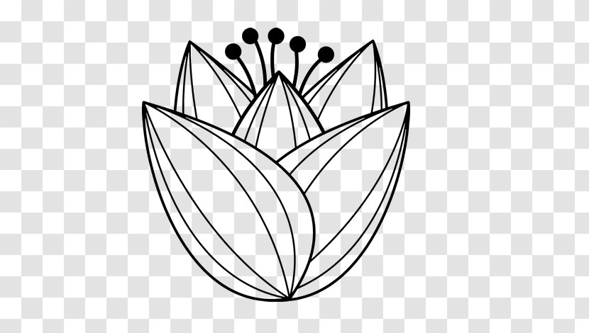 Coloring Book Tulip Flower Child - Bulb Transparent PNG