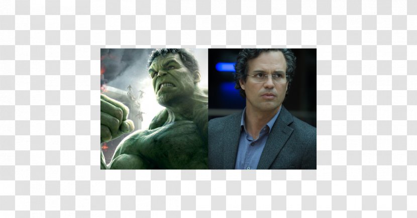 Bruce Banner Thor Spider-Man Ultron The Avengers Film Series - Mark Ruffalo Transparent PNG