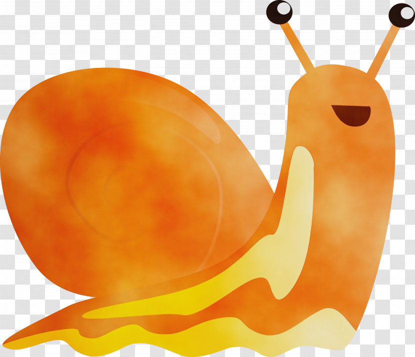 Orange Transparent PNG