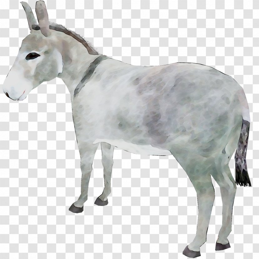 Goat Cattle Donkey Snout Terrestrial Animal Transparent PNG