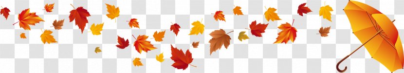 Red Maple Autumn Leaf Color - Petal - Withered Leaves Transparent PNG