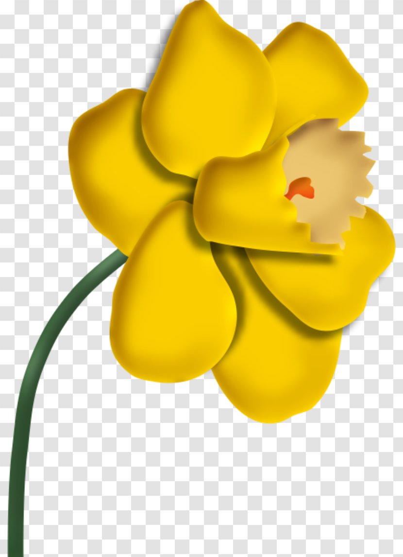 Cut Flowers Petal Blume Painting - Blog - Flower Transparent PNG