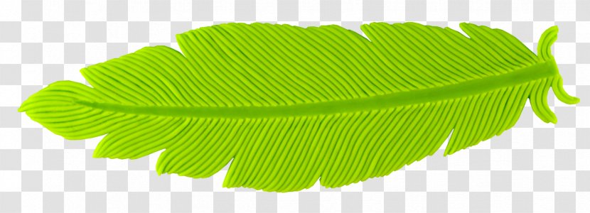 Banana Leaf Mold Green - Feather Material Transparent PNG