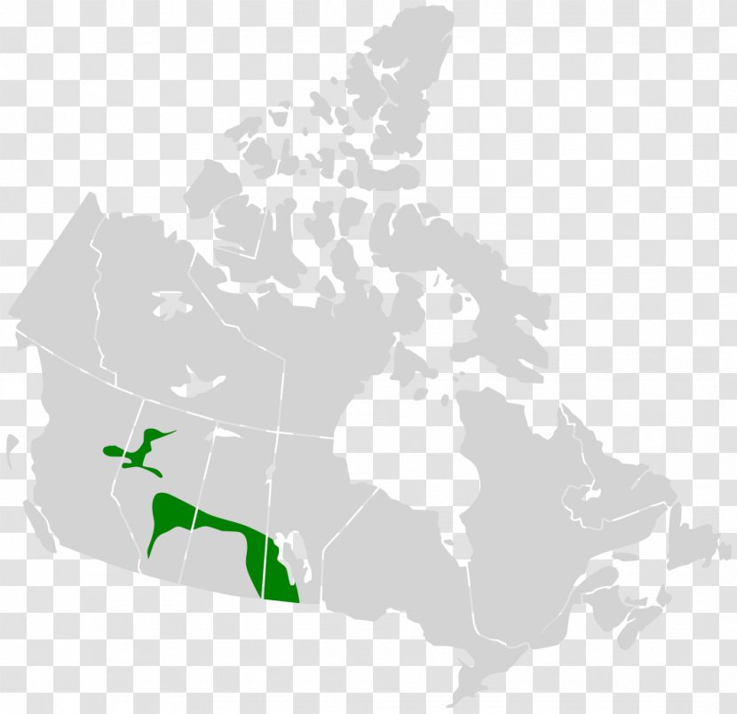 Flag Of Canada Map - Plant Transparent PNG