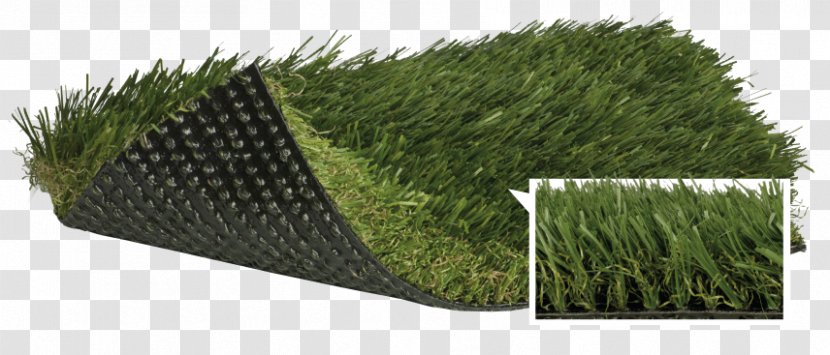 Lawn Artificial Turf Fescues Thatch Polypropylene - Grasses - Green Transparent PNG