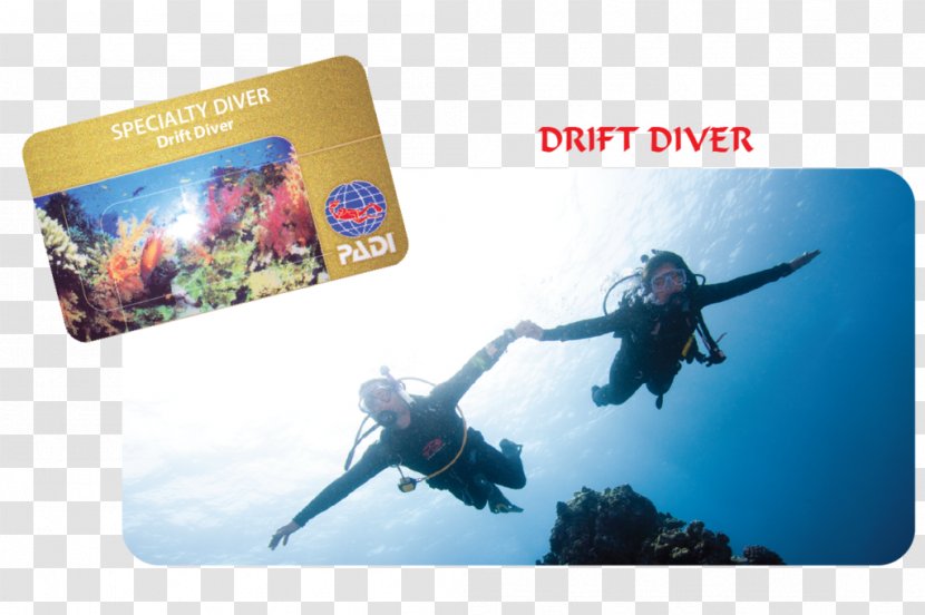 Professional Association Of Diving Instructors Scuba Drift Underwater Open Water Diver - Certification Transparent PNG