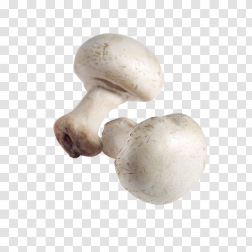 Common Mushroom Pleurotus Eryngii Agaricus Campestris Shiitake - Stock Photography - White Mushrooms Transparent PNG
