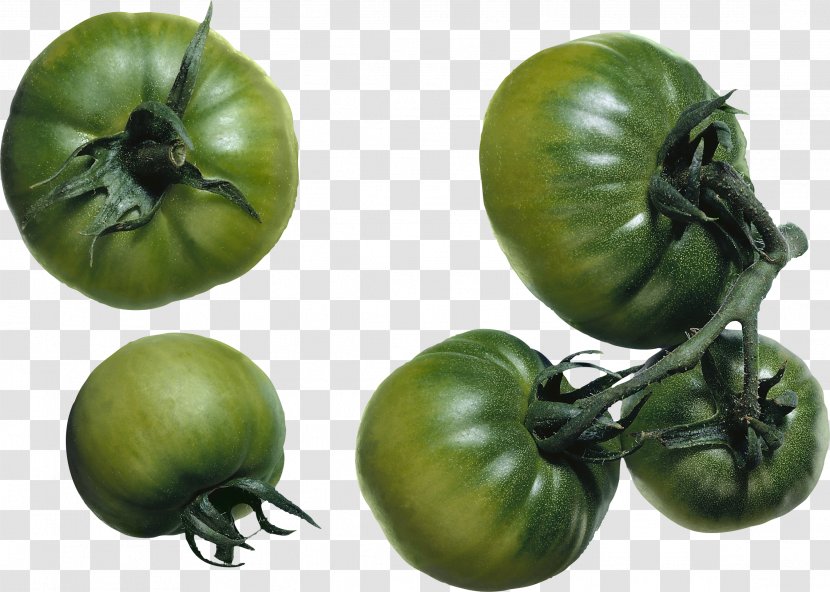 Green Zebra Salsa Cherry Tomato Tomatillo - Potato And Genus Transparent PNG