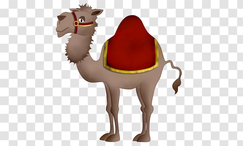 Baby Camels Bactrian Camel Dromedary Clip Art - Snout - Ramadan Transparent PNG