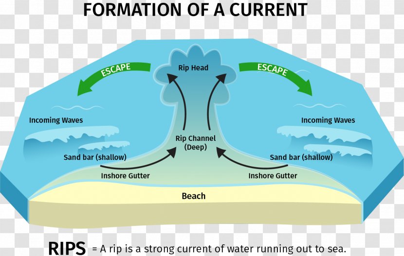 Brand Water - Diagram Transparent PNG