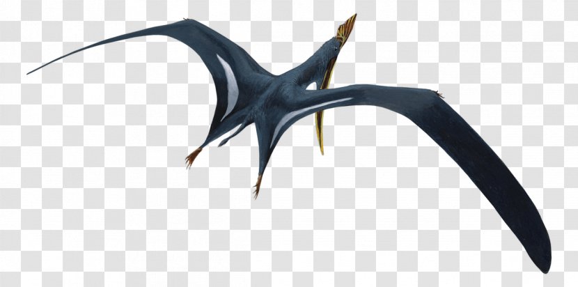 Sinopterus Dawndraco Tethydraco Geosternbergia Jiufotang Formation - Tapejaridae - Pterosaur Toys Transparent PNG