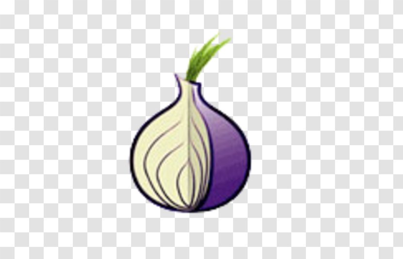 Tor .onion Onion Routing Web Browser Internet Transparent PNG
