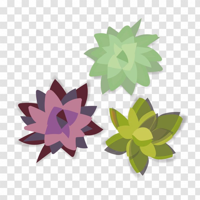 Succulent Plant Cactus Illustration Plants Houseplant - Monstera Transparent PNG