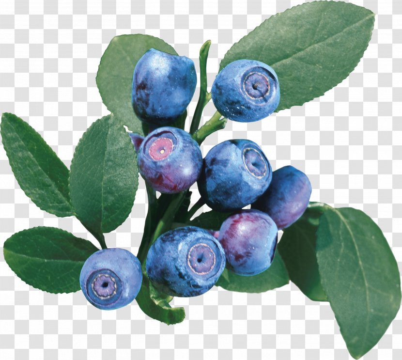 Varenye Bilberry European Blueberry Vaccinium Uliginosum - Cranberry Transparent PNG