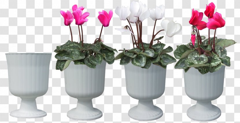 Plant Cyclamen Persicum Flower Bonsai - Artificial - Hand-painted Pot Transparent PNG