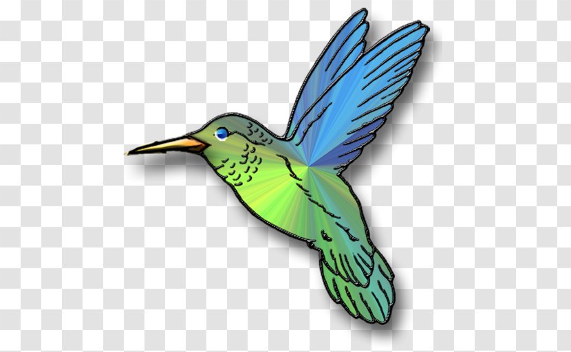 Broad-tailed Hummingbird Clip Art - Pollinator - Cartoon Transparent PNG