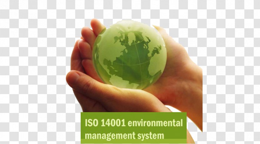 Natural Environment Corporate Social Responsibility INGRAIN STANDARD ASSESSMENT LLP Organization Transparent PNG