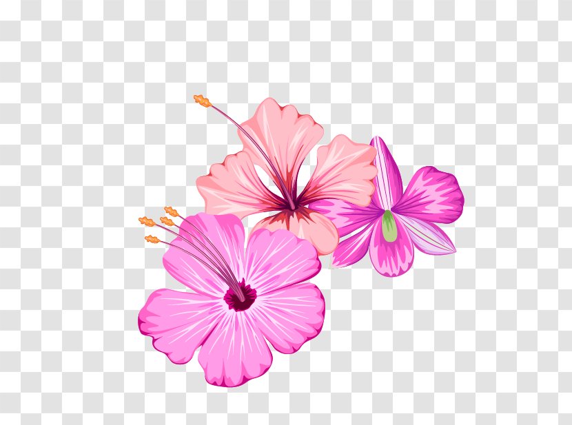 Flower - Mallow Family - Small Fresh Summer Flowers Transparent PNG