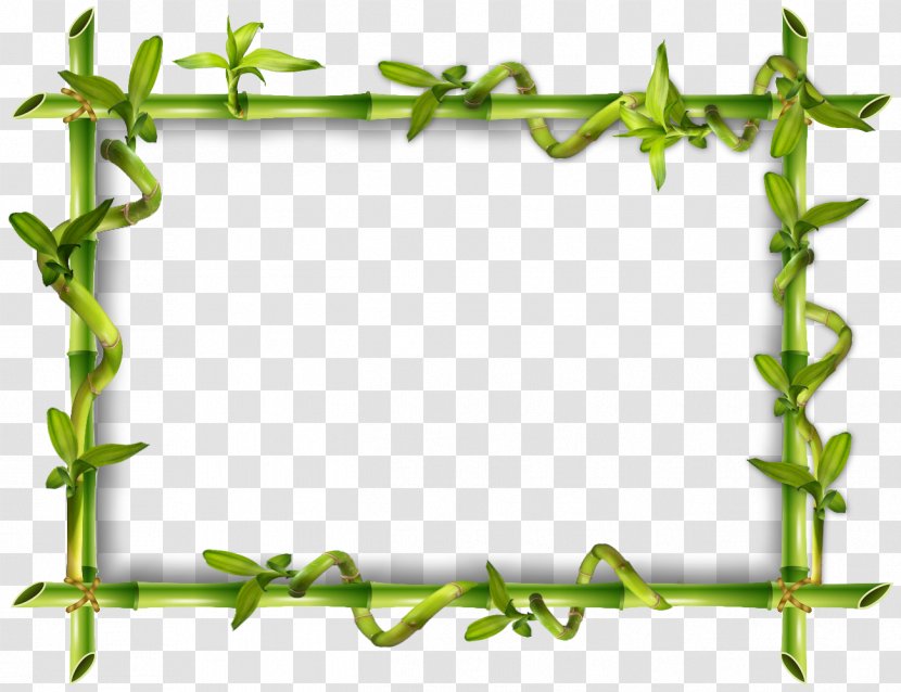 Institut Bioty Zen Picture Frames Bamboe Desktop Wallpaper - Leaf - Saint Patrick Transparent PNG