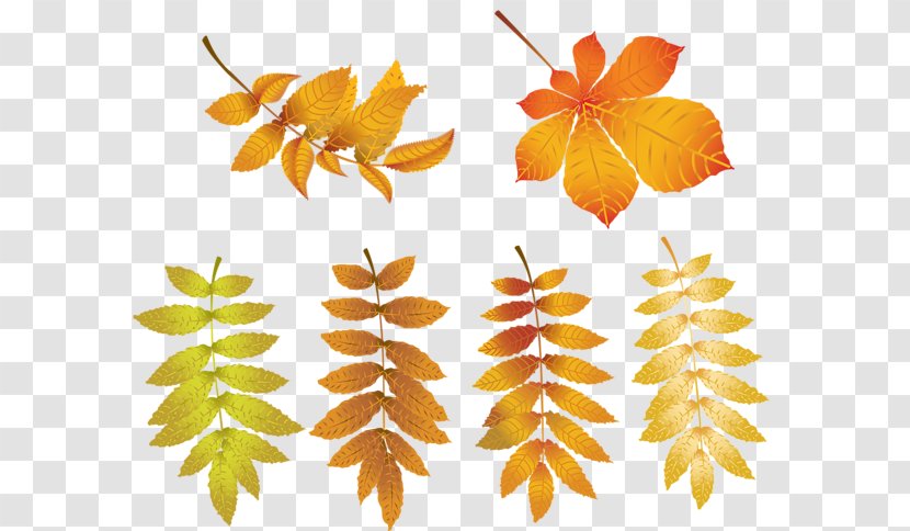 Autumn Clip Art - Tree Transparent PNG