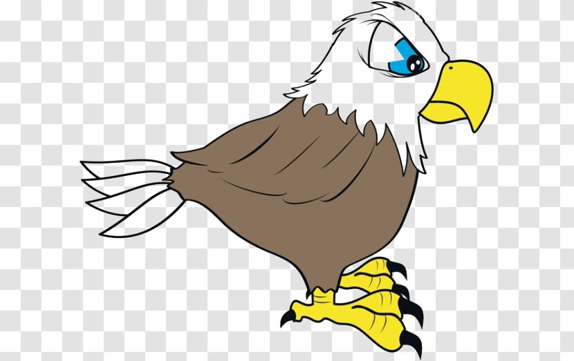 Bald Eagle Cartoon Drawing - Photography - Material Transparent PNG