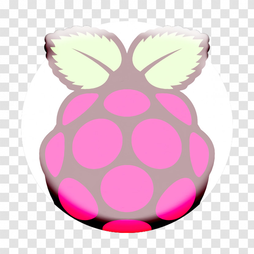 Icon Software Development Logos Icon Raspberry Pi Icon Transparent PNG
