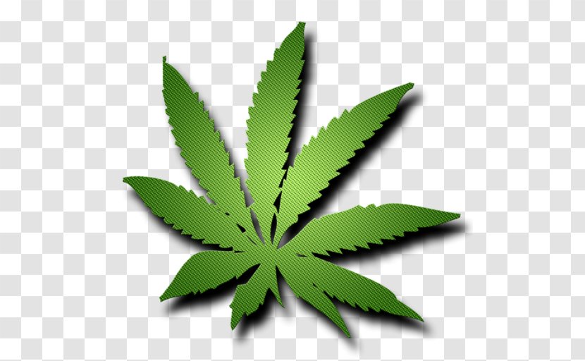 Cannabis Leaf - Hemp Transparent PNG