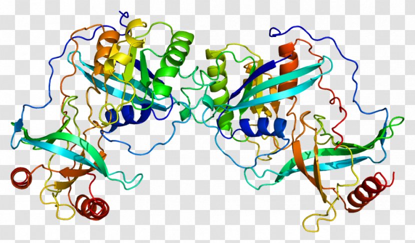 RANBP2 Protein Nucleoporin Karyopherin - Watercolor - Planar Virus Cell Bodies Transparent PNG
