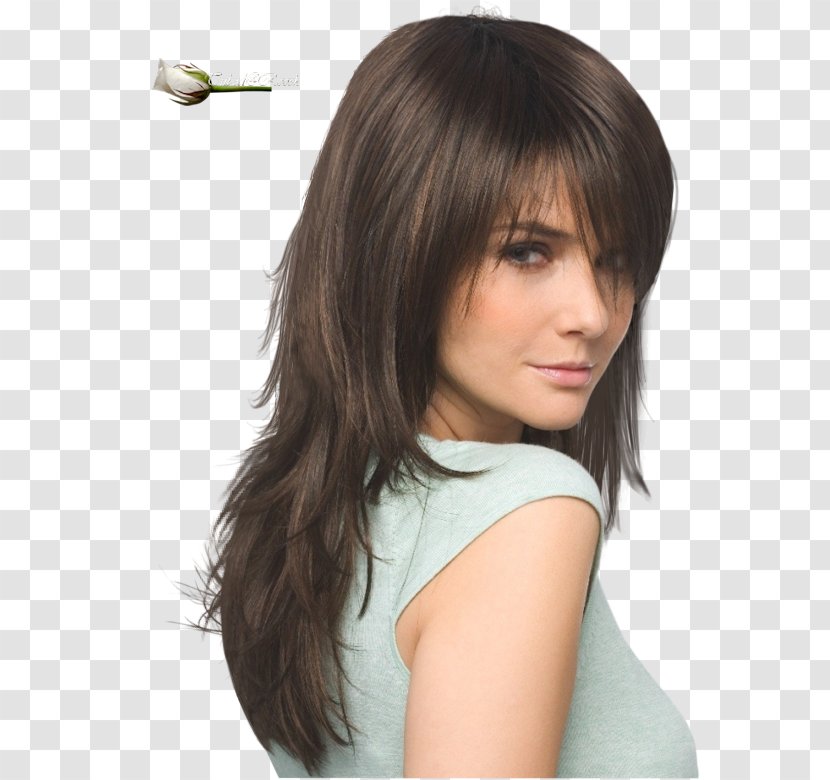 Hairstyle Bangs Layered Hair Long - Bob Cut Transparent PNG